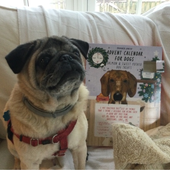 Posh Ambassador II - Welcome! - Picture 12 of 14